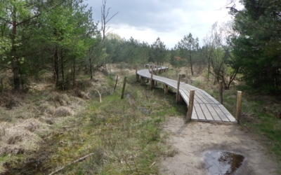 Het Plankenpad