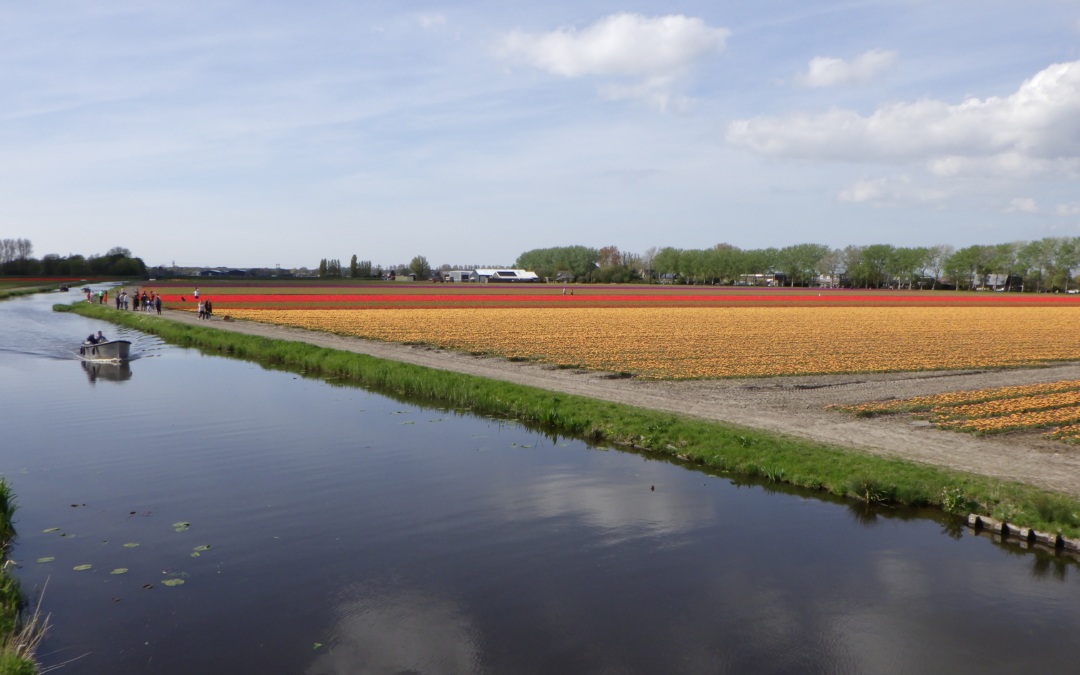 Noordelijke bollenroute