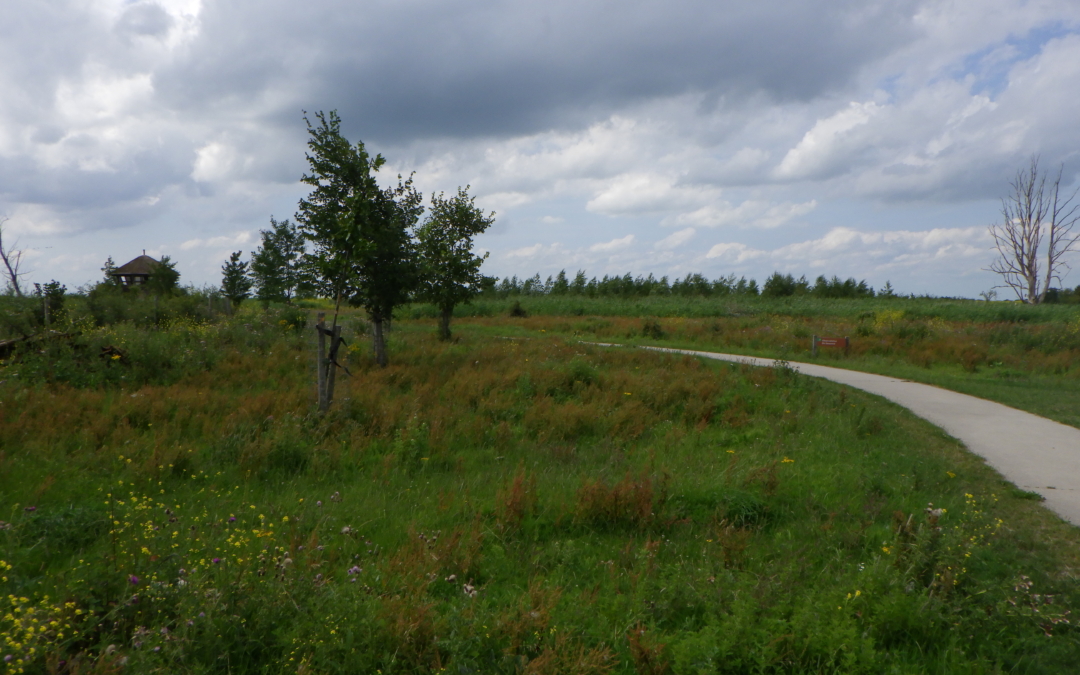 Wandelroute Zeearend
