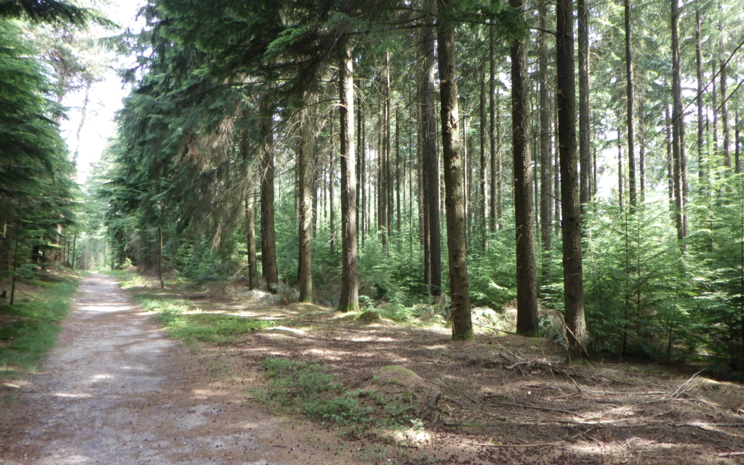 Varennaroute