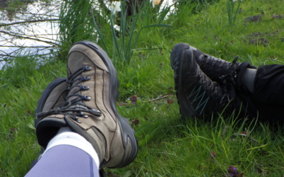 Jouw guide voor de ideale wandelschoenen