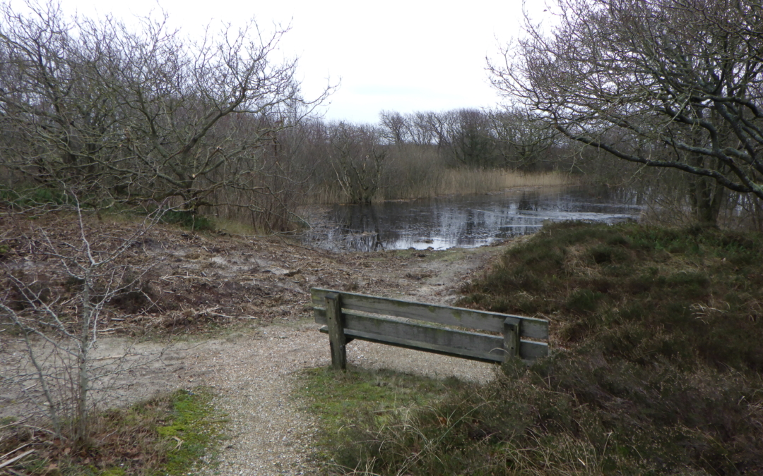 Wandelroute langs Eerste Water, Zwanenwater