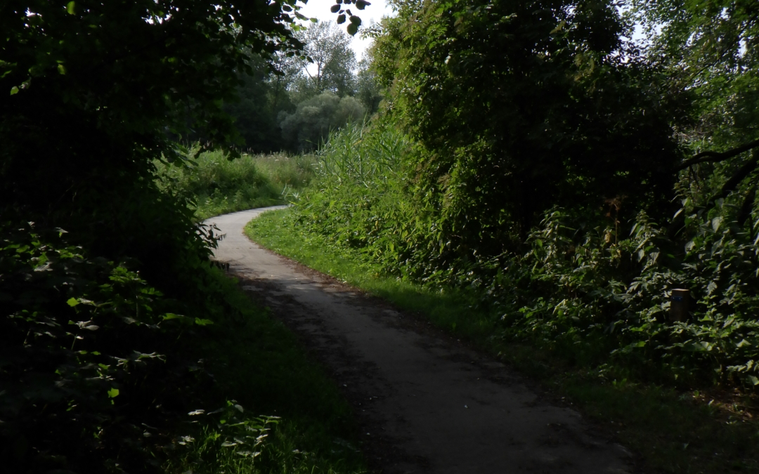 Korte Beverroute Harderbos