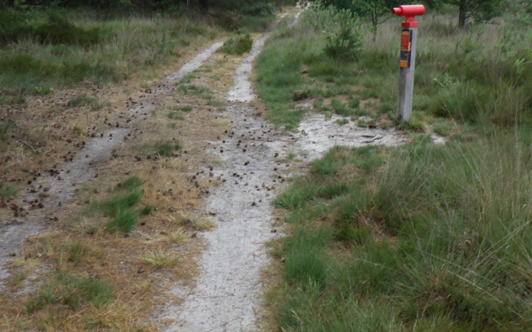 Tijdkijkerpad Stakenberg