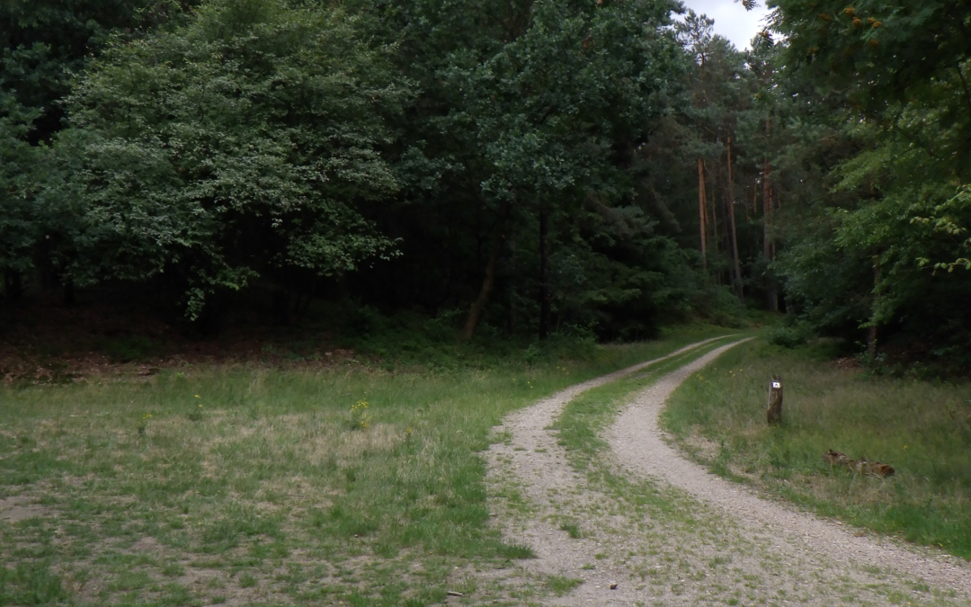 Wandelroute Miggelenberg