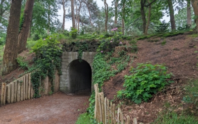 Wandelroute Heidestein