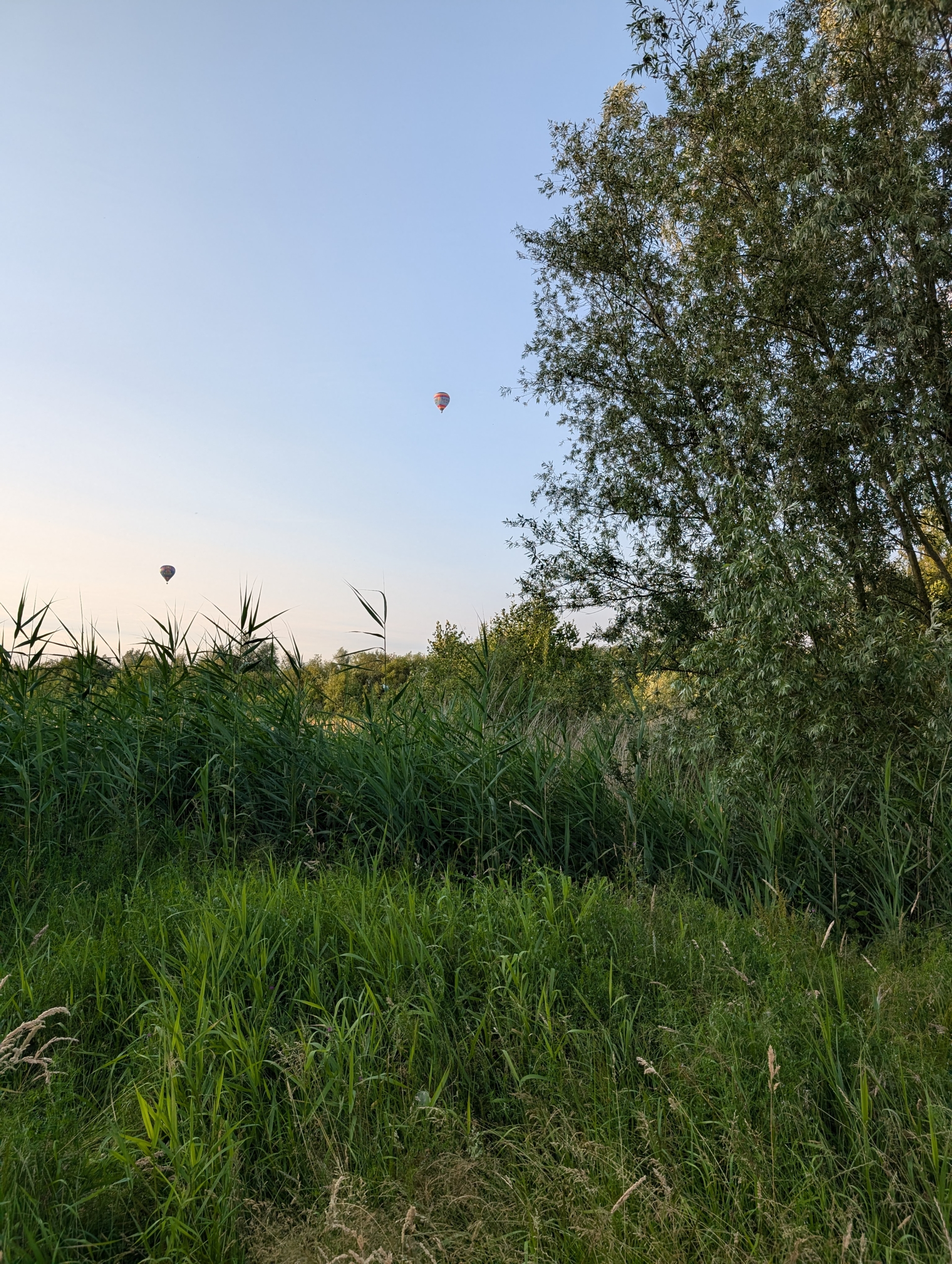 PXL_20240628_185031869