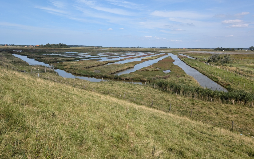 Wandelroute Levensstrijd