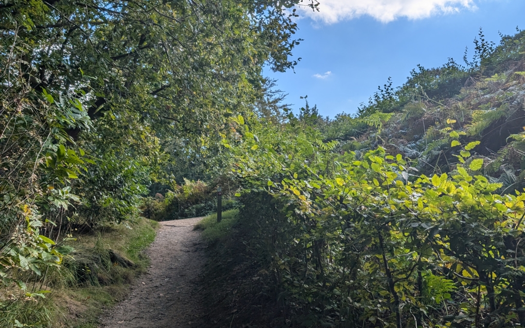 Wandelroute Duivelsberg