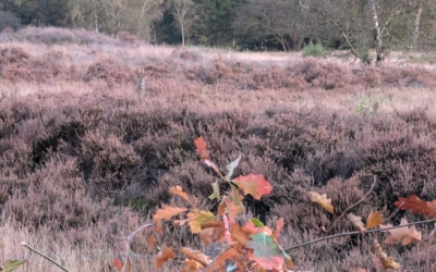 Wandelroute Stulp