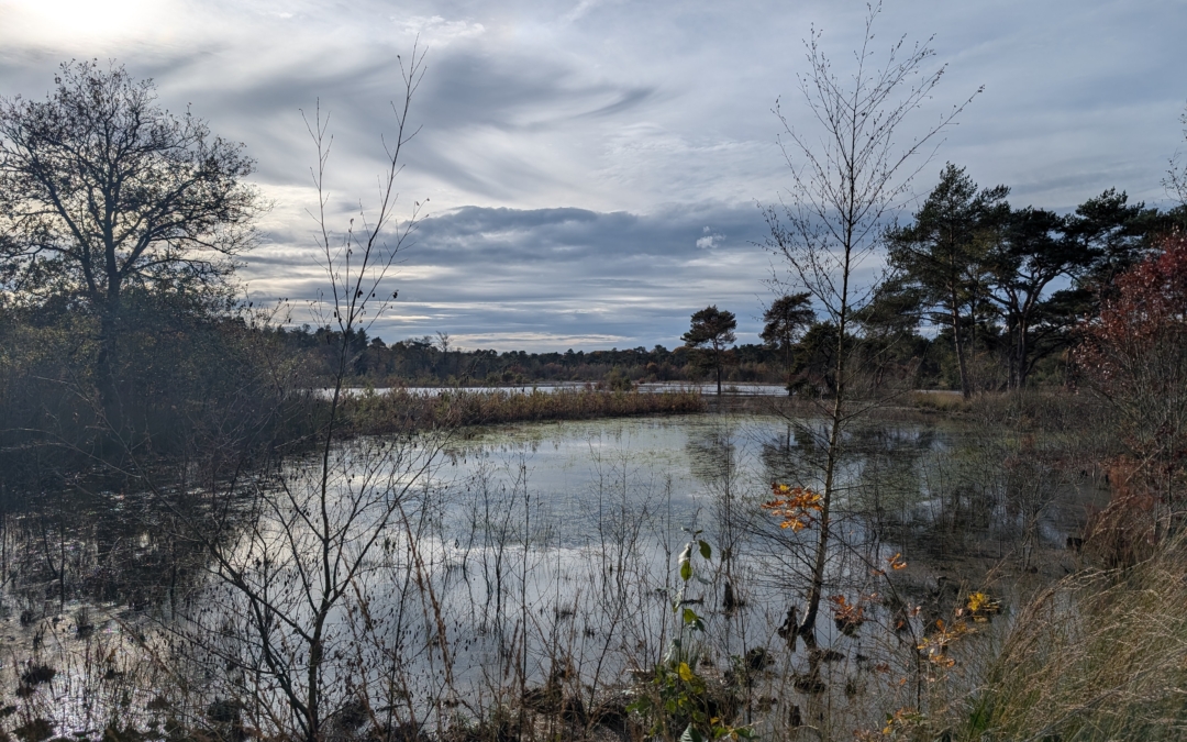 Rondje Vresselsbos