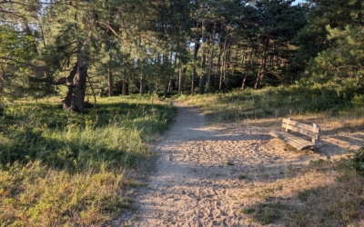Wandelroute landgoed Koningshof