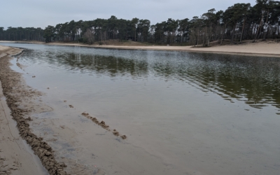 Rondje Henschotermeer
