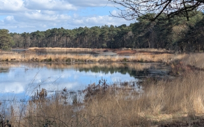 Wandelroute Vlasroot