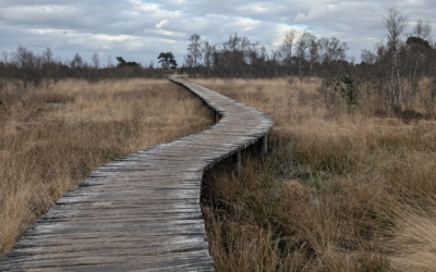 Wandelroute Knuppelbrug
