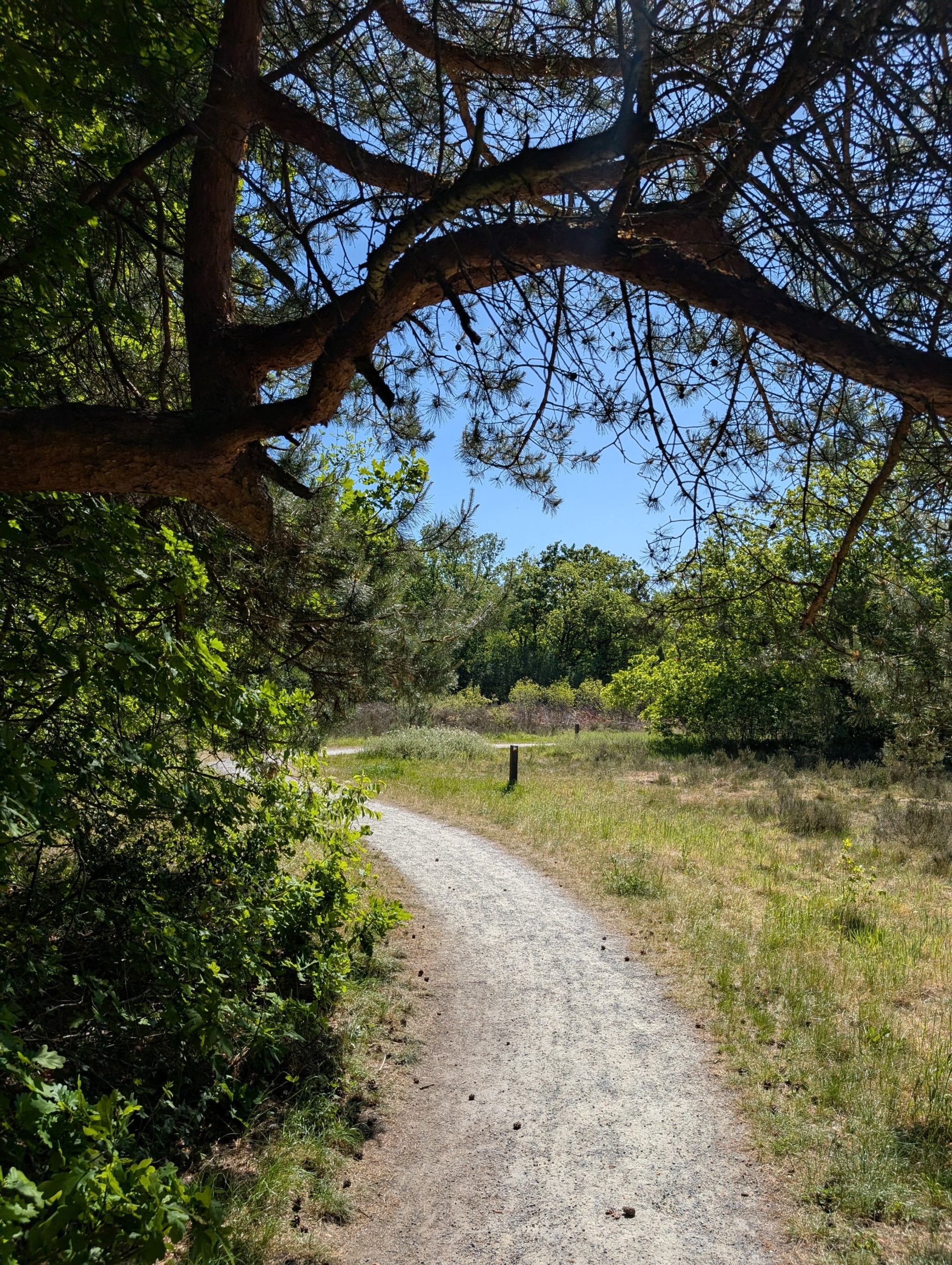 PXL_20250517_093915089