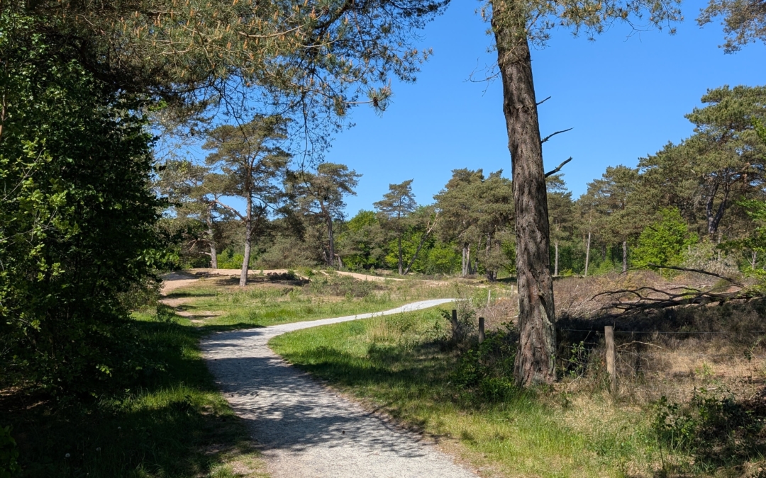 Rolstoelroute Mandefjild Bakkeveen