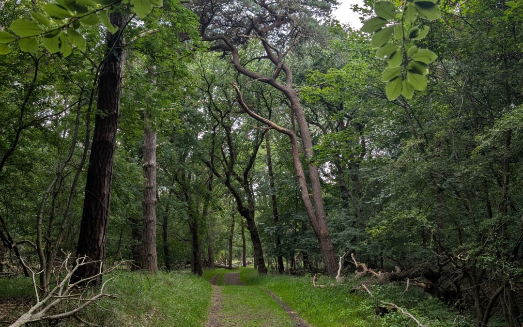 Wandelroute Heerenduinen