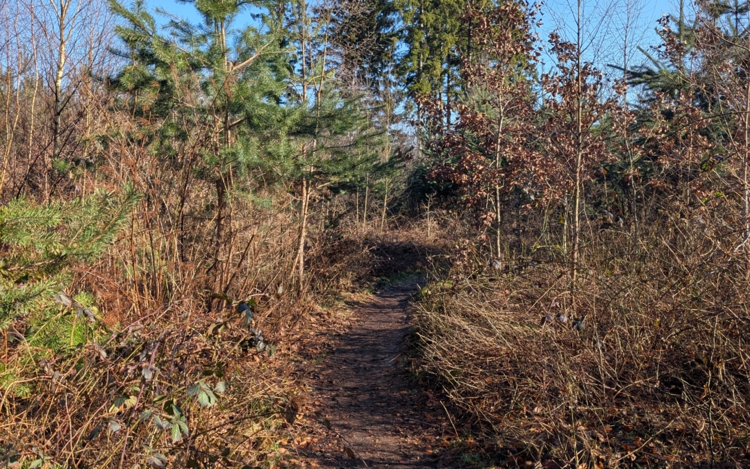 Wandelroute Buiten in de kuil