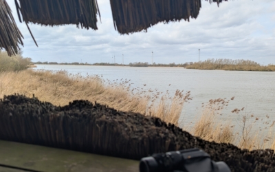 Giezenpad Harderbroek