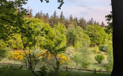 Wandelroute Landgoed de Paltz