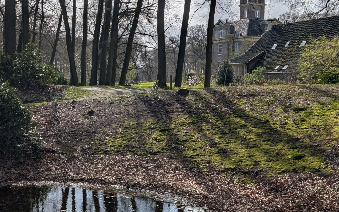 Kasteelbos op landgoed Oldenaller